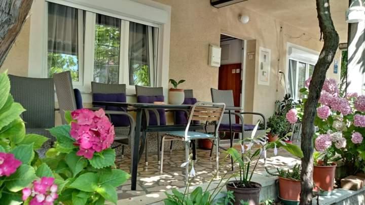 Apartman Paulina Daire Selce Dış mekan fotoğraf